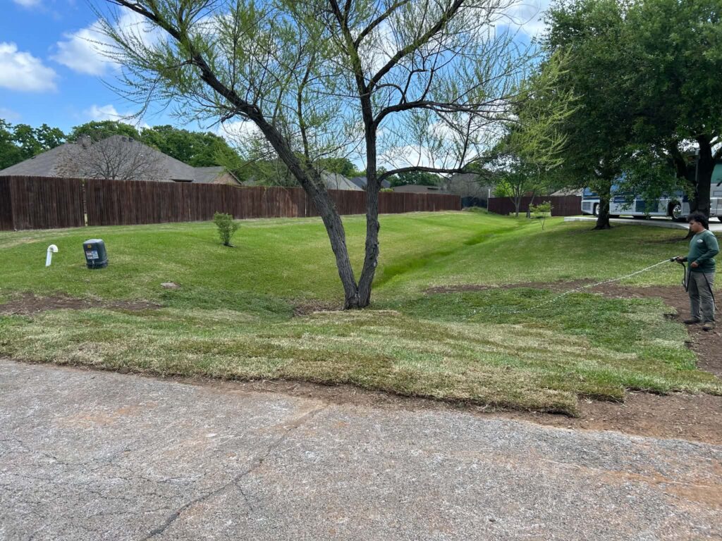 Professional sod installation and lawn grading in Burleson, Texas