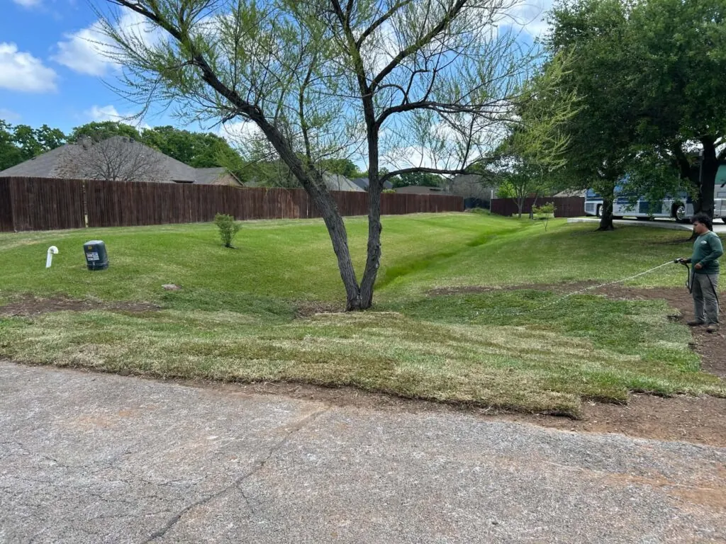 Professional sod installation and lawn grading in Burleson, Texas